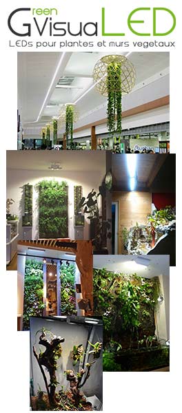 GreenVisuaLED - Solutions d'éclairages LEDs pour plantes, murs et tableaux végétaux. Design végétal