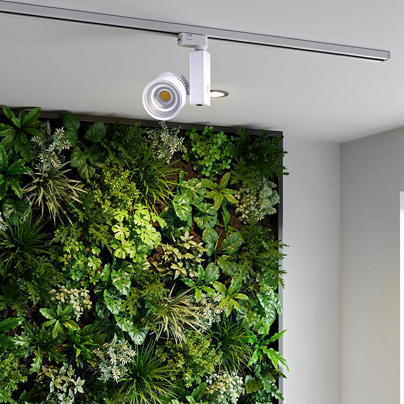 Spot LED sur rail éclairant un mur végétal intérieur luxuriant