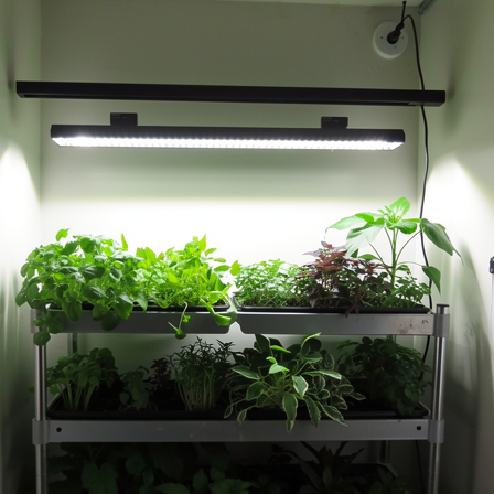 Système de lampe LED pour serre installé au plafond illuminant des plantes vertes en intérieur