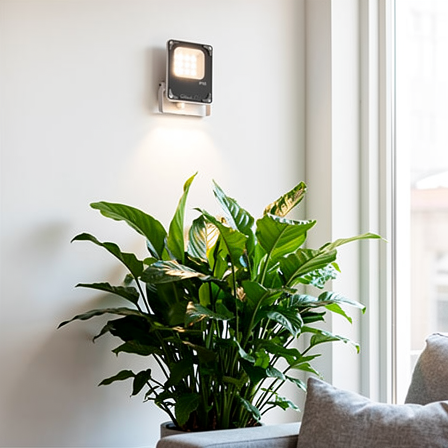Lampe de croissance LED pour plantes d'intérieur installée au-dessus d'une plante verte dans un salon lumineux