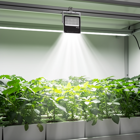 Lampe LED horticole professionnelle éclairant des plantes vertes dans une serre intérieure moderne.