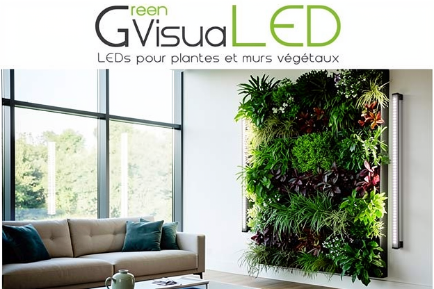 Mur végétal d'intérieur éclairé par lumière naturelle de fenêtre complétée par bandes LED horticoles GreenVisual.