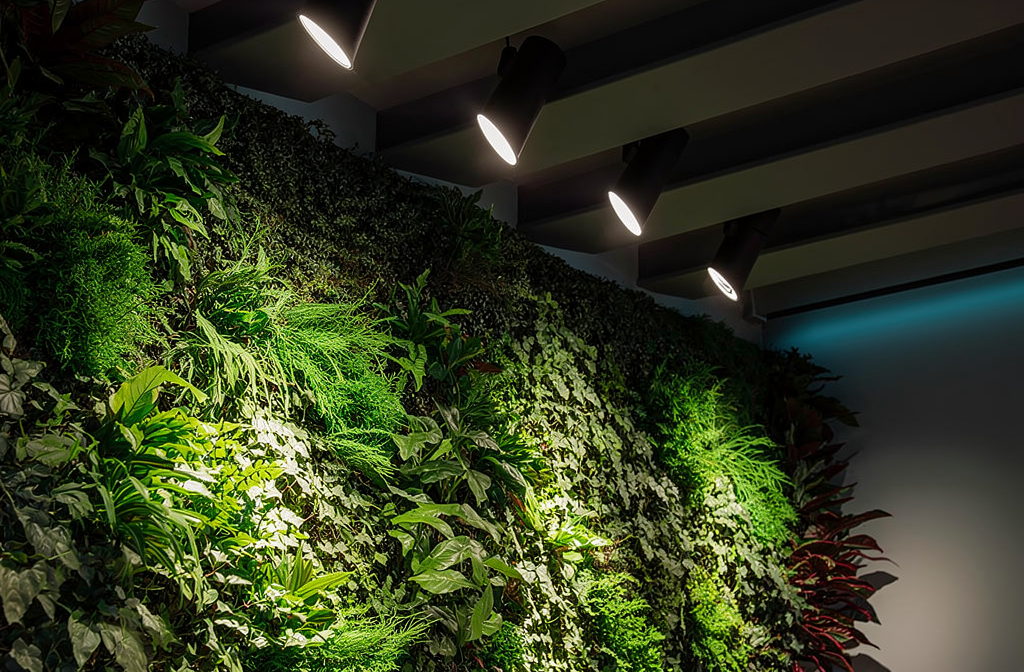 Éclairage LED spot illuminant un mur végétal artificiel intérieur verdoyant