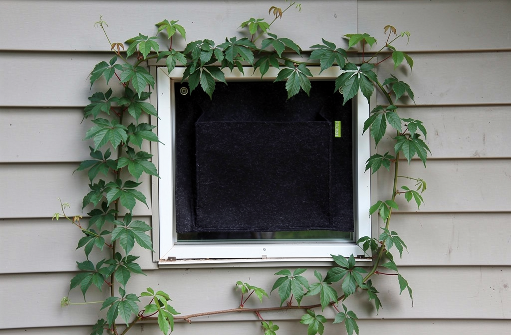 Pochette murale en feutre sur une façade de maison avec vigne vierge.