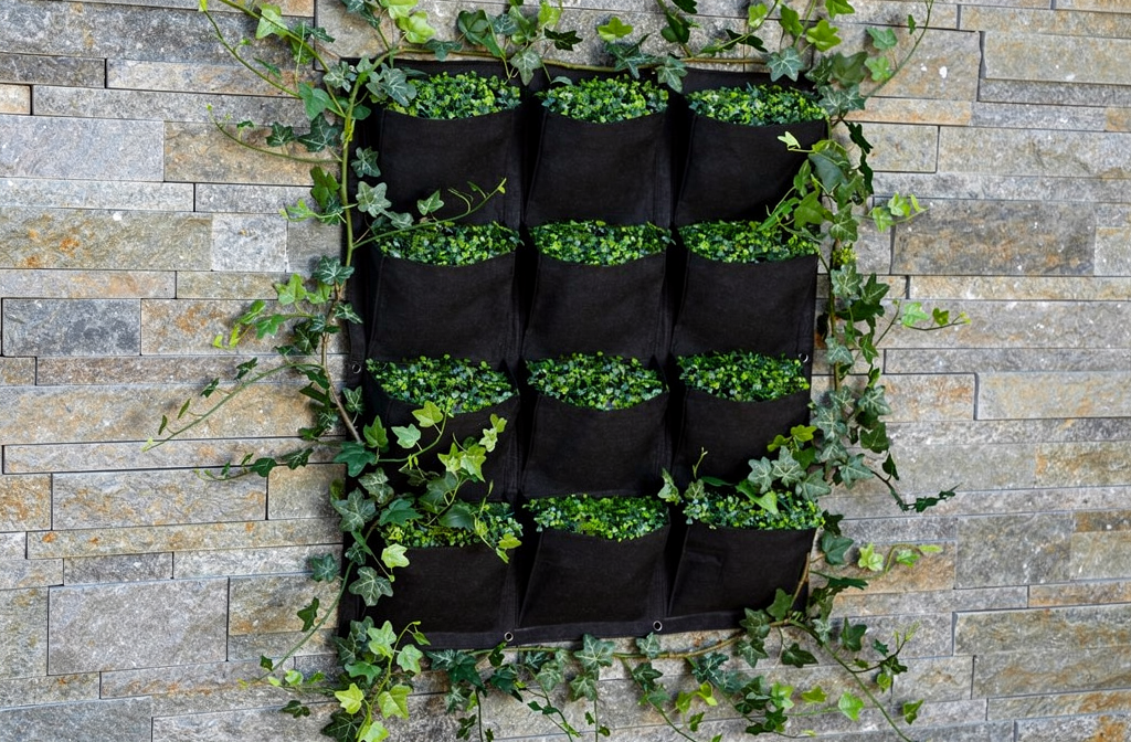 Jardinière murale verticale fixée sur un mur avec du lierre verdoyant