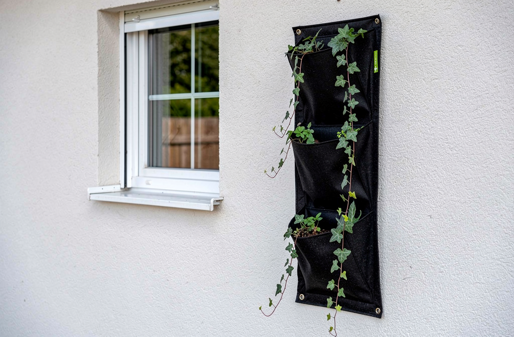Jardinière murale verticale installée sur façade avec jeunes plants de lierre