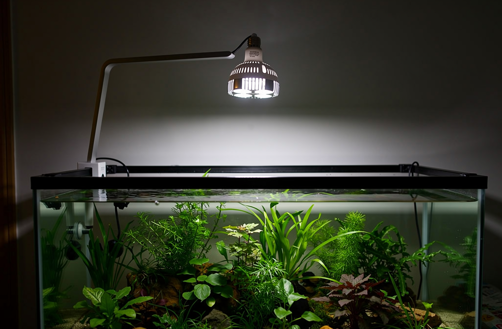 Ampoule LED horticole pour aquarium éclairant des plantes aquatiques dans un bac