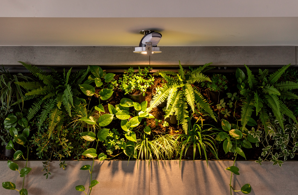 Spot LED horticole encastré éclairant un mur végétal d'intérieur luxuriant.