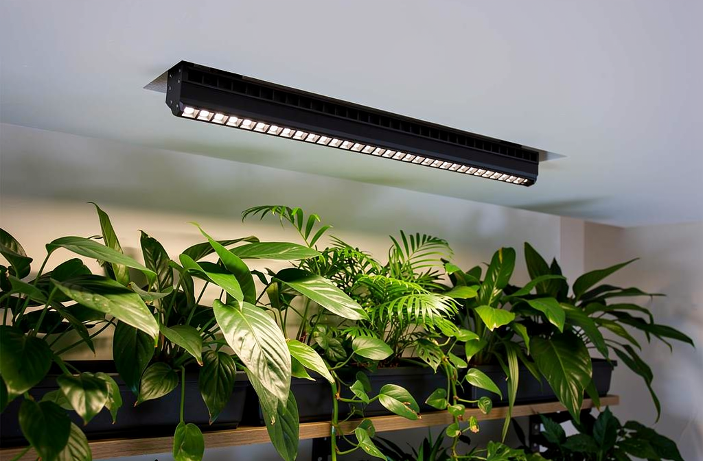 Barre LED encastrable illuminant des plantes vertes d'intérieur sur une étagère murale.