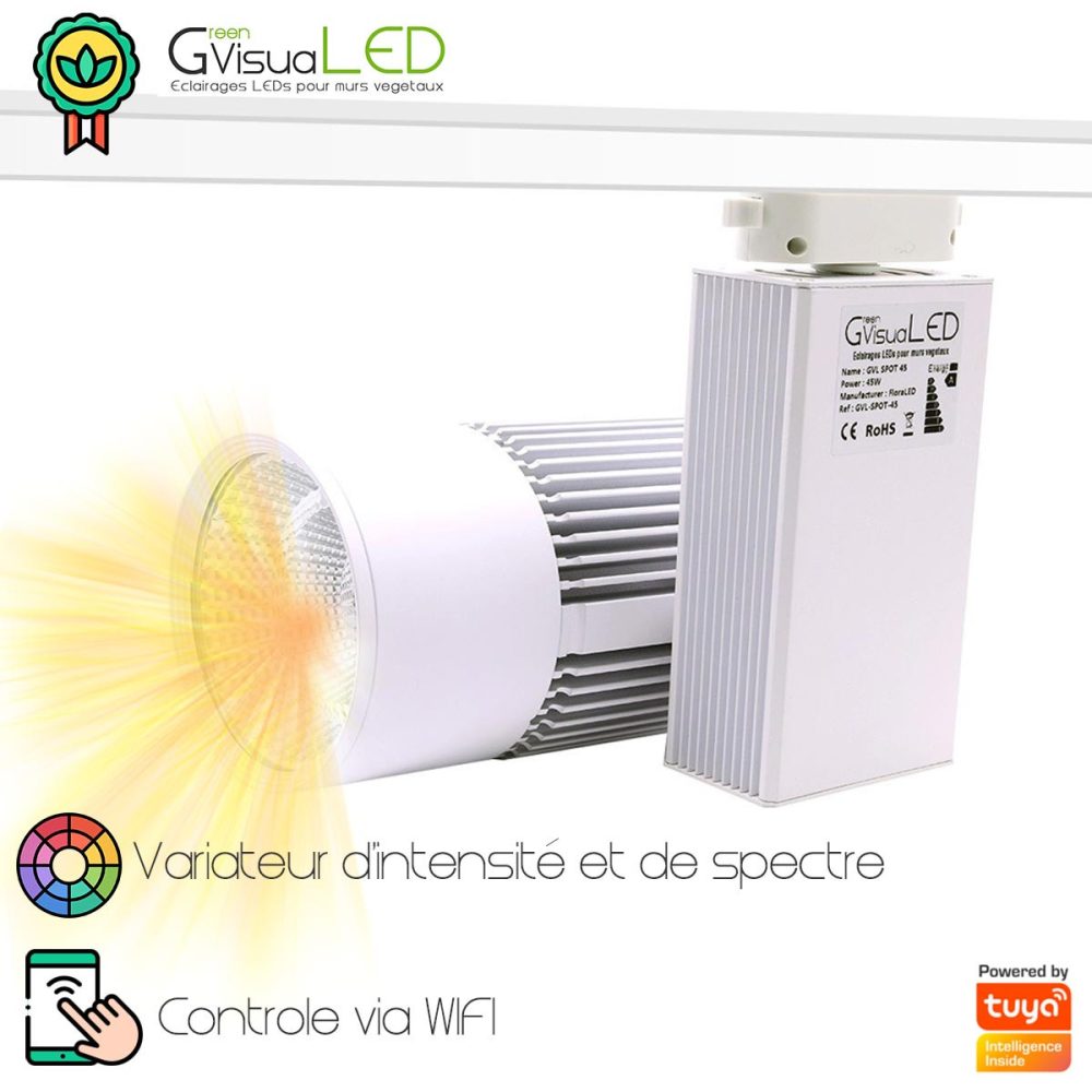 Distance éclairage plantes mur végétal : guide lampe horticole LED