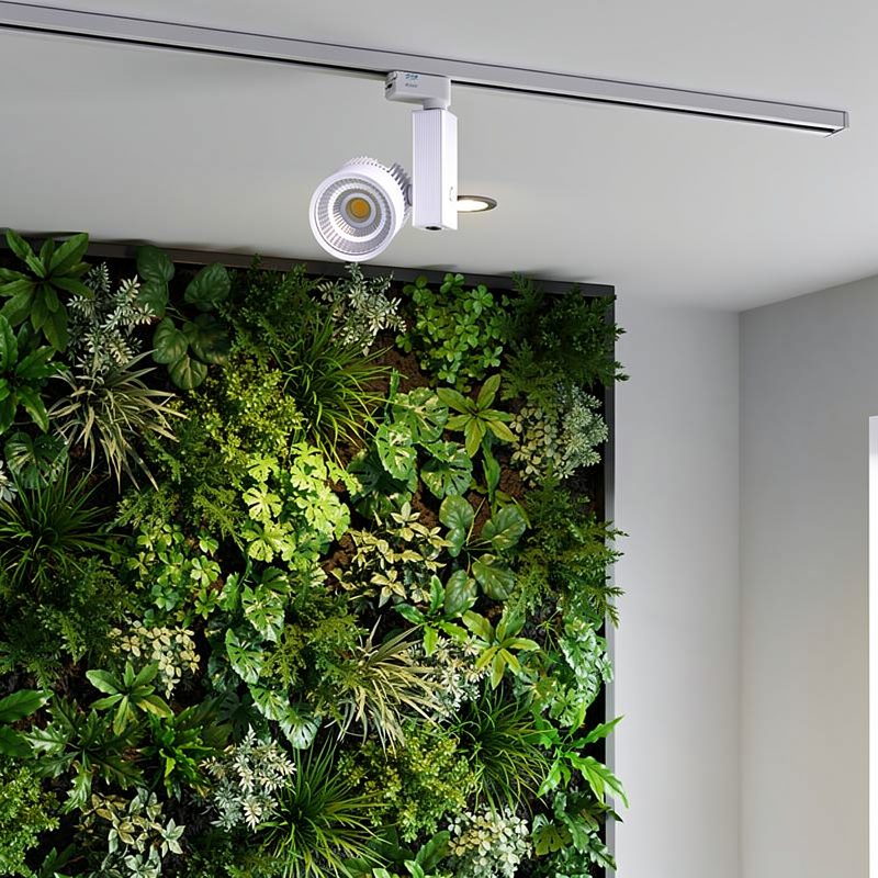 Installation lumière mur végétal intérieur : guide complet