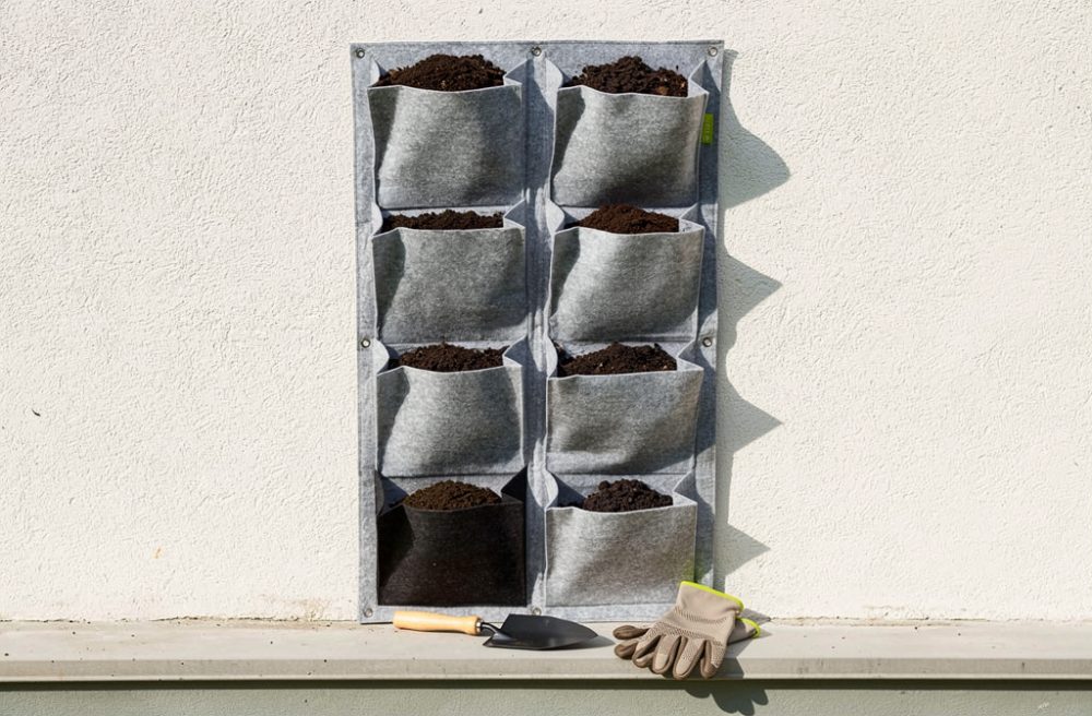 Comment végétaliser un mur extérieur : guide complet