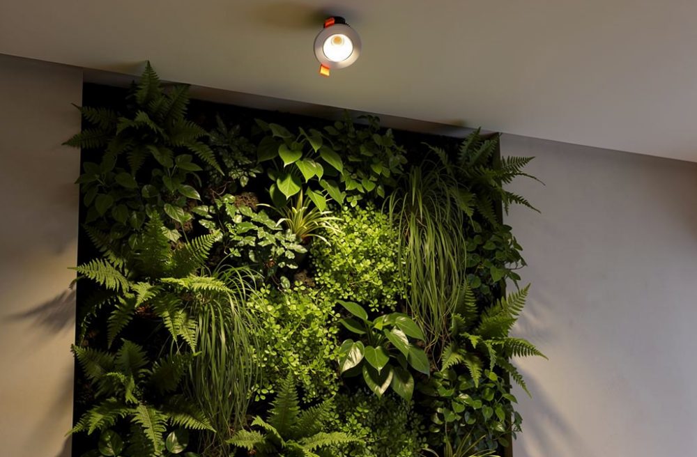 Spot led encastrable pour murs végétaux : guide complet
