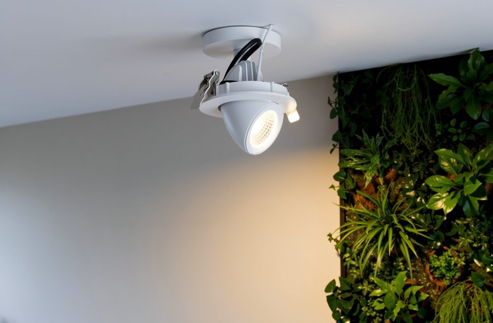 Éclairage discret mur végétal : guide led et design