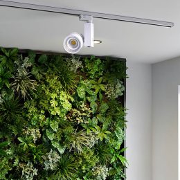 Installation lumière mur végétal intérieur : guide complet
