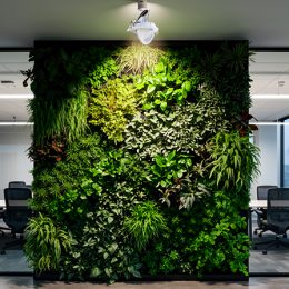 Luminaire intégré mur végétalisé : éclairage led intérieur