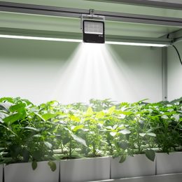 Lumière pour serre intérieur : guide lampe led horticole 2026