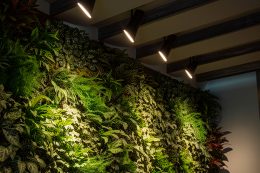 Éclairage naturel artificiel mur végétal : guide complet