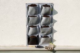 Comment végétaliser un mur extérieur : guide complet