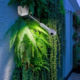 Mur végétal extérieur naturel : guide complet et avantages