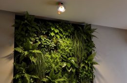 Spot led encastrable pour murs végétaux : guide complet