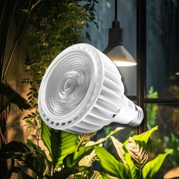 Lampe led horticole : le meilleur éclairage pour vos plantes d'intérieur